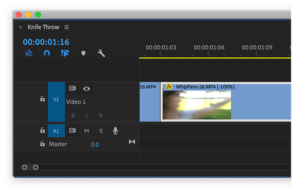 Как ускорить или сделать видео обратным с помощью Adobe Premiere